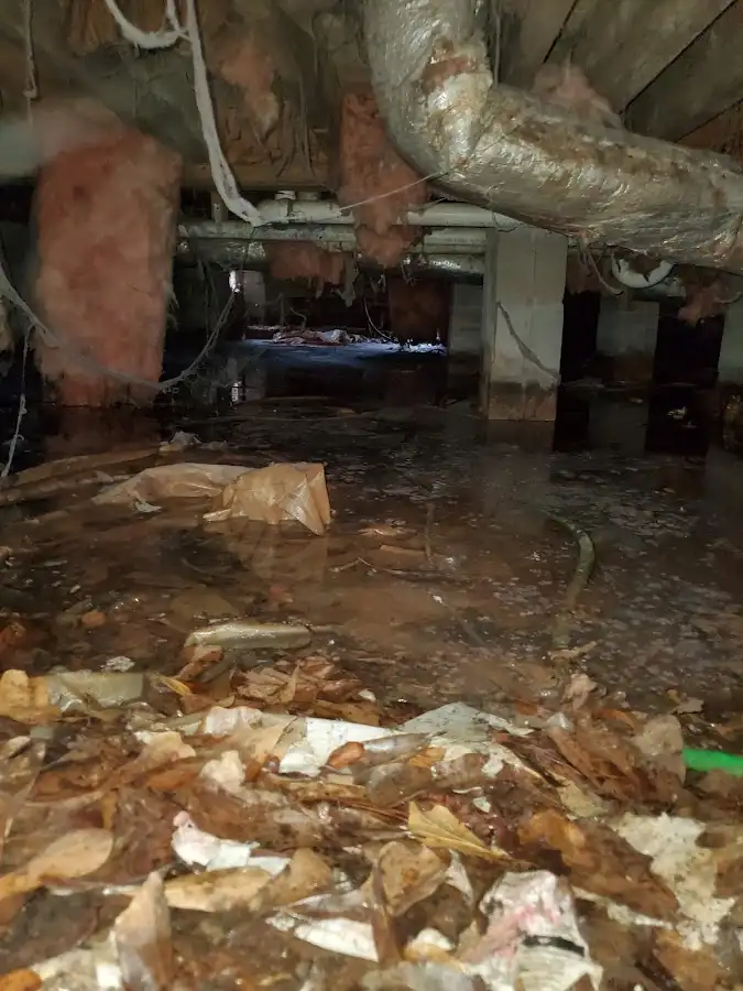 Crawl space flood assessment for Leak Detection & Repair in Ulster
